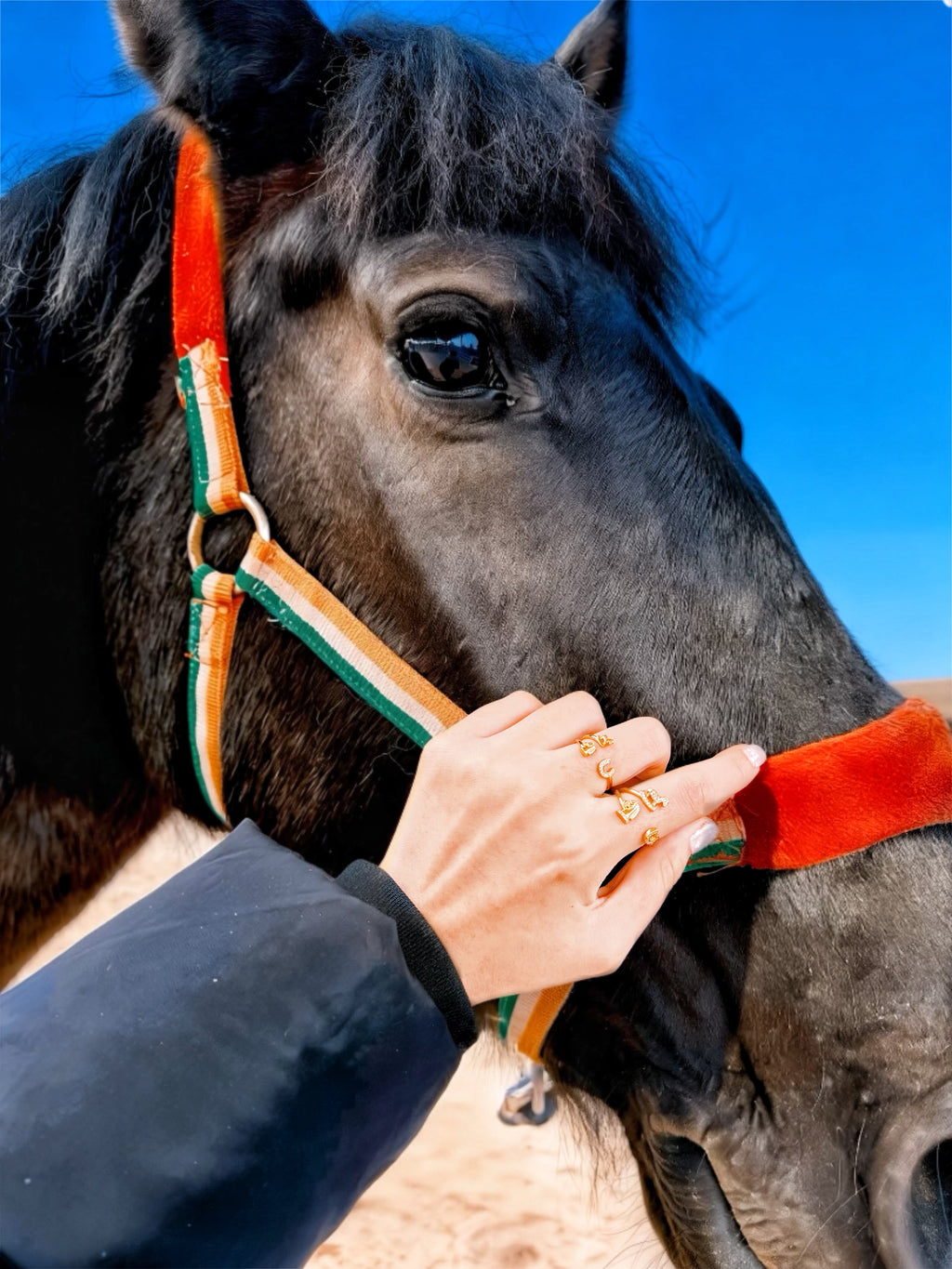 Cheval de Reve (Encrusted) · Gold/Silver Ring
