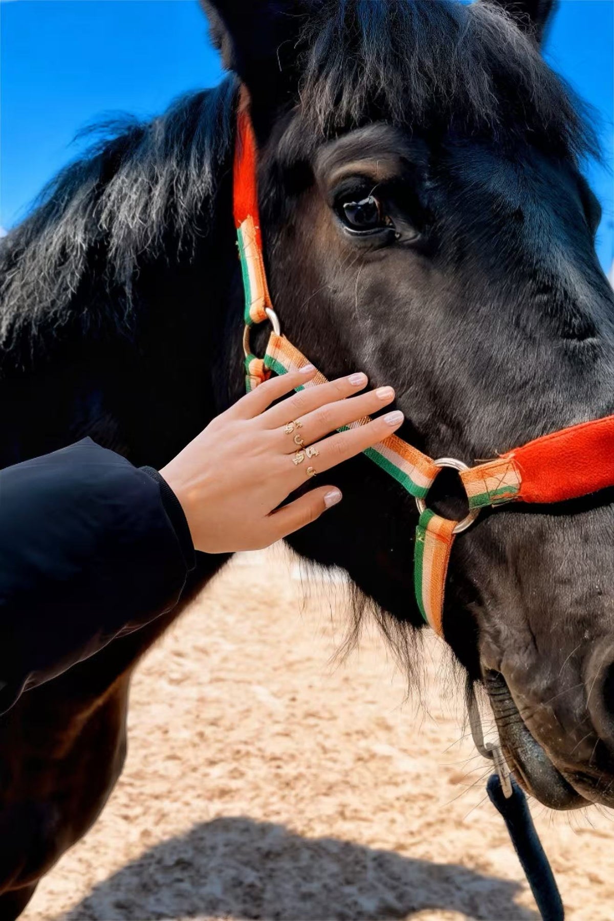 Cheval de Reve (Encrusted) · Gold/Silver Ring