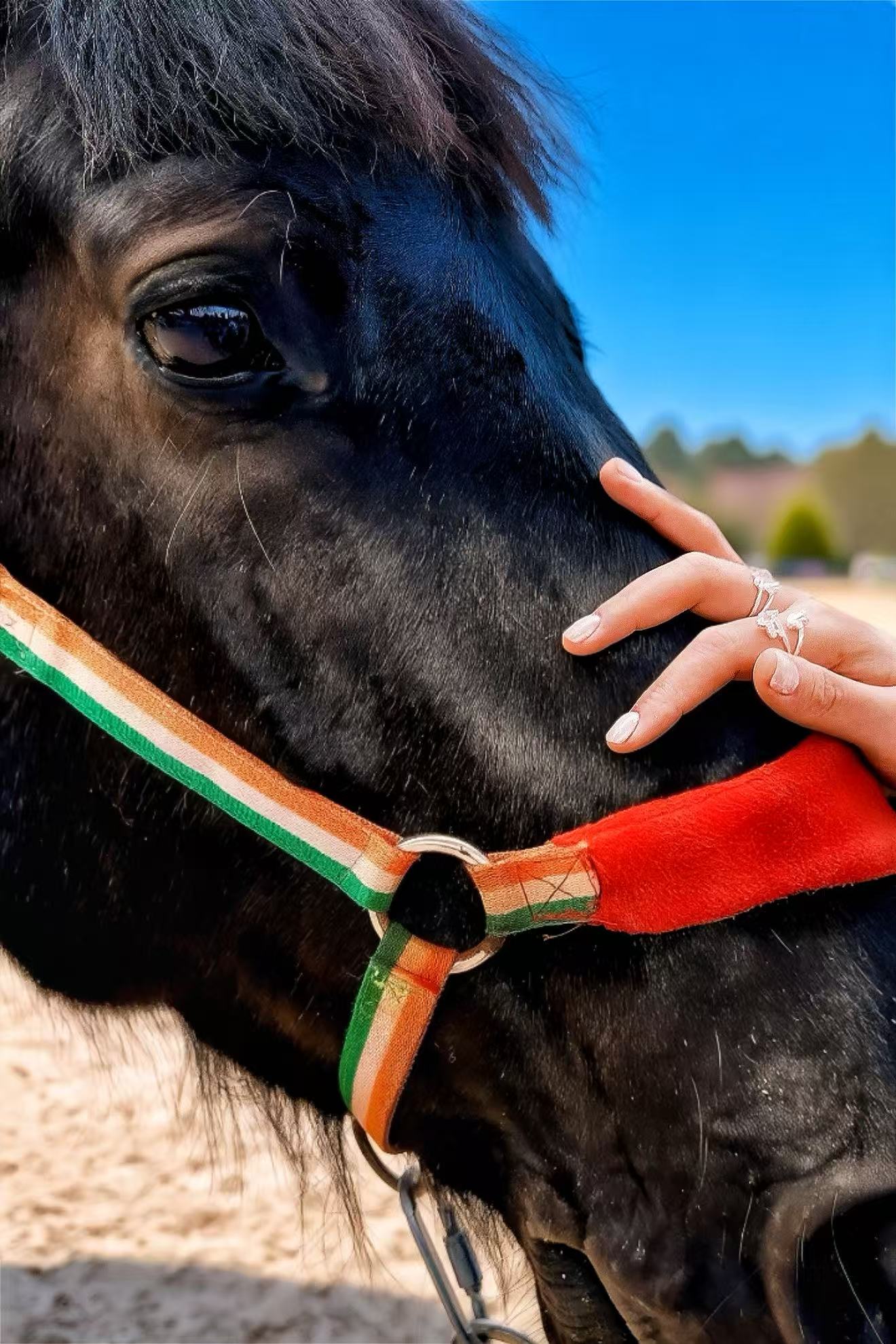 Cheval de Reve (Small) · Gold/Silver Ring