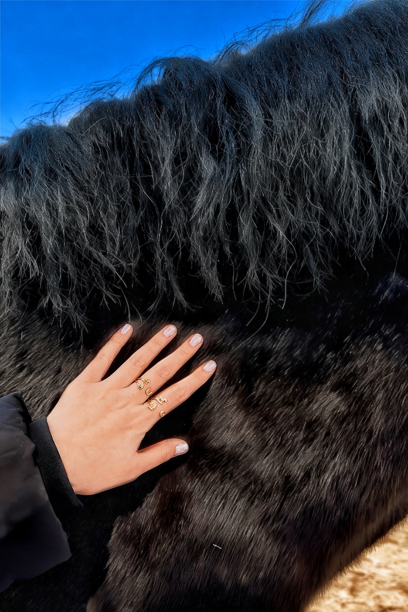 Cheval de Reve (Small) · Gold/Silver Ring
