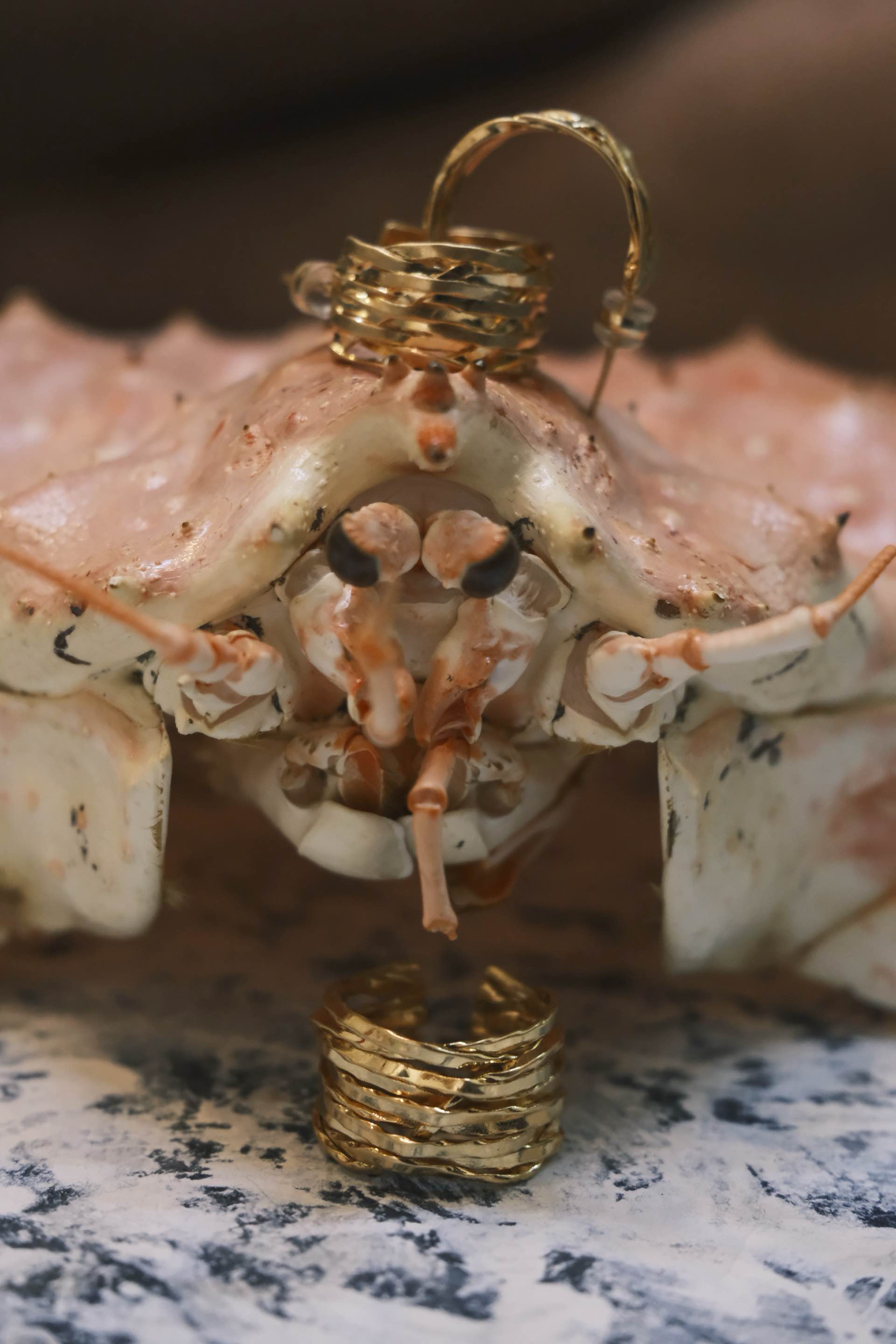 Ondes de Reve · Gold Earrings & Ring