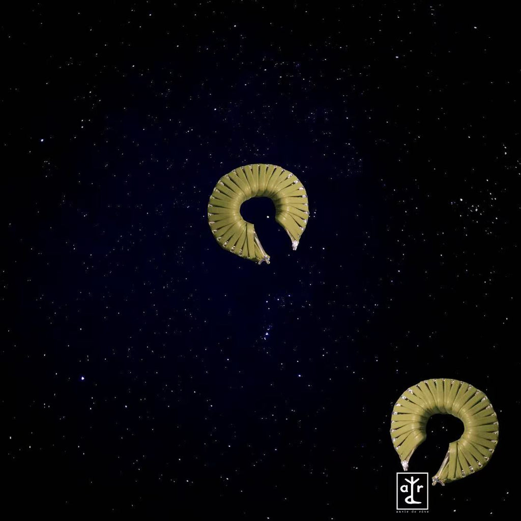Spirale de Reve · Earrings