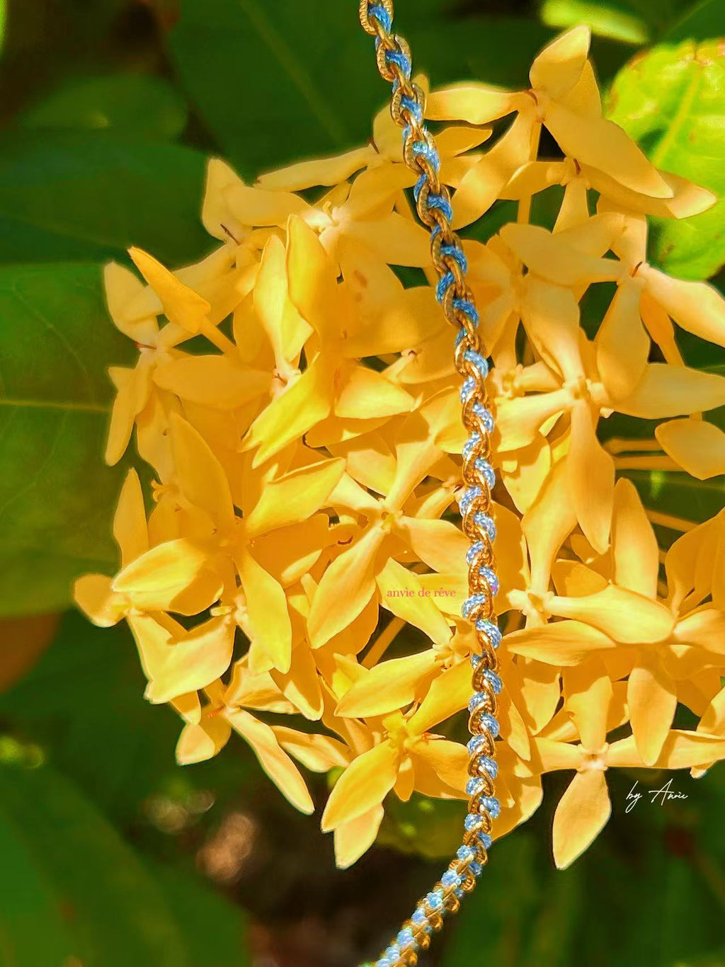 Brise de Reve · Gold woven bracelet