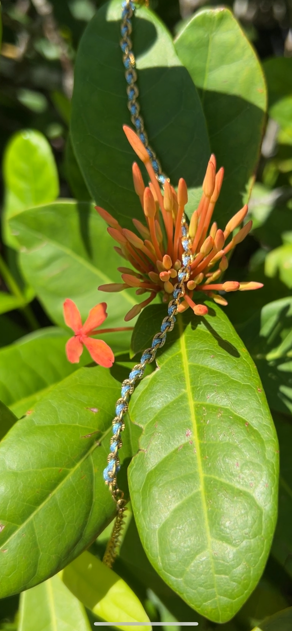 Brise de Reve · Gold woven bracelet